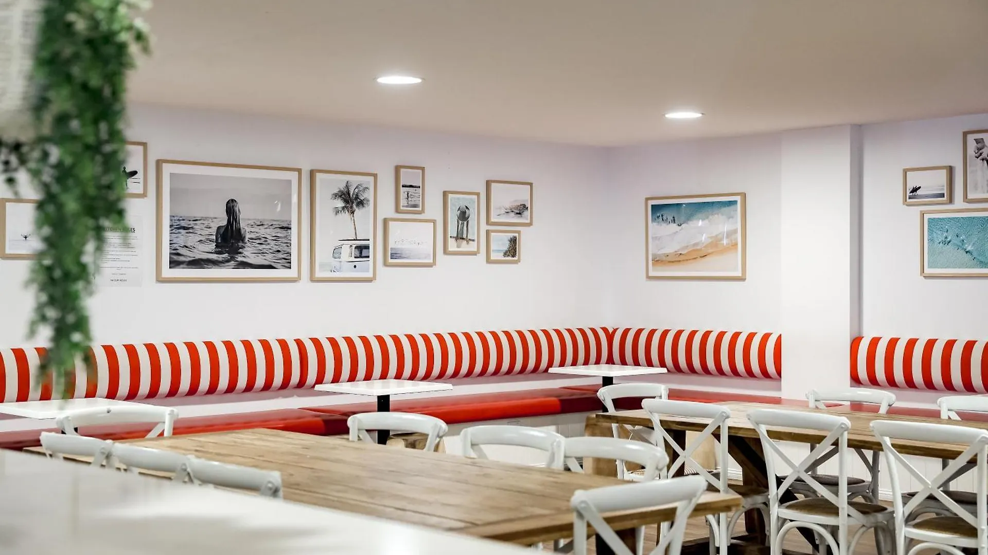 The Surf House Hostel Byron Bay Australia